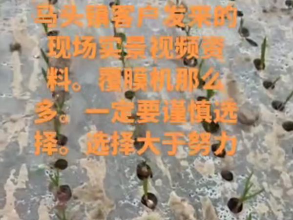 大蒜洋葱覆膜打孔一体机视频